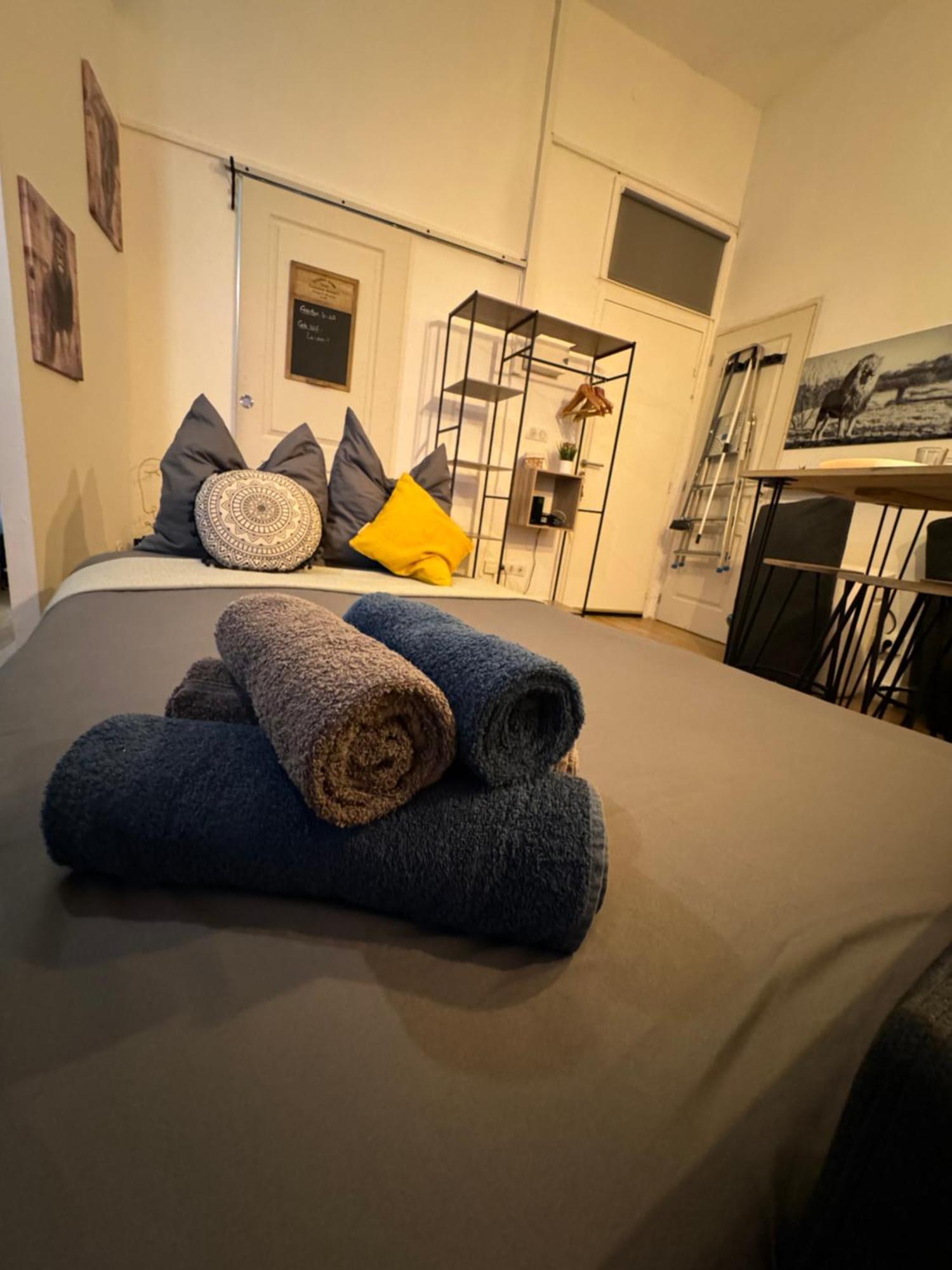 Charmant Appartement Climatise Aux Pieds De La Cite การ์กาซอน ภายนอก รูปภาพ